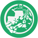 icona-logo-lifemedwolf2